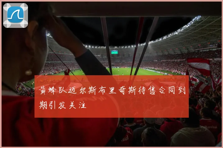 黄蜂队迈尔斯布里奇斯待售合同到期引发关注